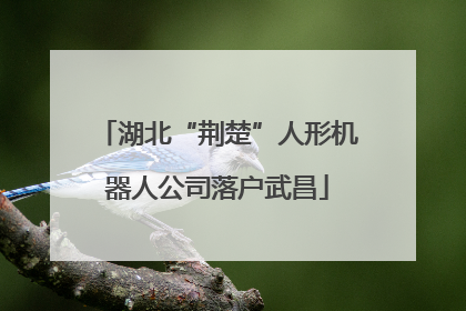 湖北“荆楚”人形机器人公司落户武昌