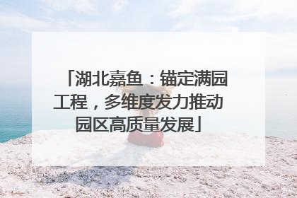 湖北嘉鱼：锚定满园工程，多维度发力推动园区高质量发展