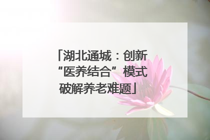 湖北通城：创新 “医养结合”模式 破解养老难题