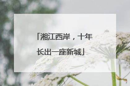 湘江西岸，十年长出一座新城
