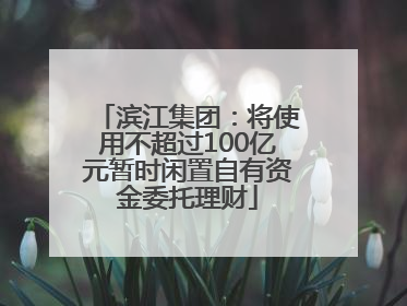 滨江集团：将使用不超过100亿元暂时闲置自有资金委托理财