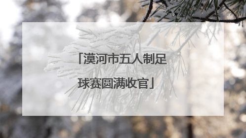 漠河市五人制足球赛圆满收官