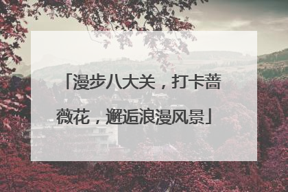 漫步八大关，打卡蔷薇花，邂逅浪漫风景
