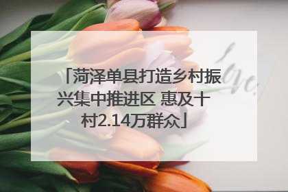 菏泽单县打造乡村振兴集中推进区 惠及十村2.14万群众