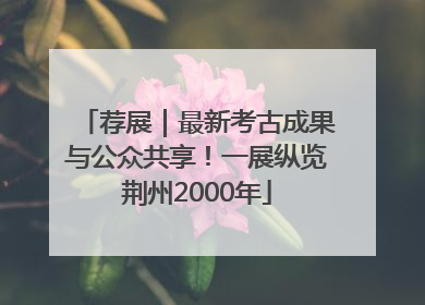 荐展｜最新考古成果与公众共享！一展纵览荆州2000年