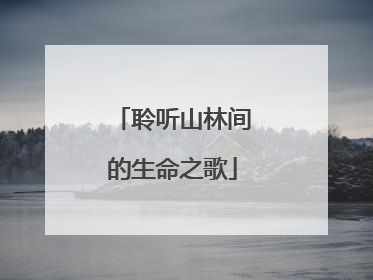 聆听山林间的生命之歌