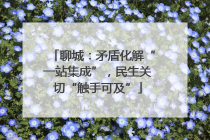 聊城：矛盾化解“一站集成”，民生关切“触手可及”