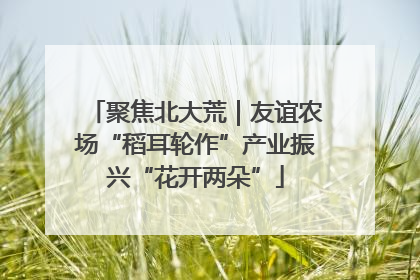 聚焦北大荒｜友谊农场“稻耳轮作”产业振兴“花开两朵”