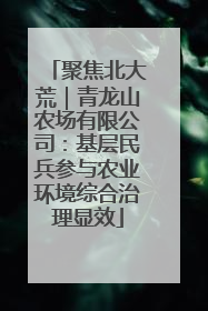 聚焦北大荒｜青龙山农场有限公司：基层民兵参与农业环境综合治理显效