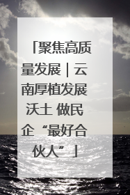 聚焦高质量发展｜云南厚植发展沃土 做民企“最好合伙人”
