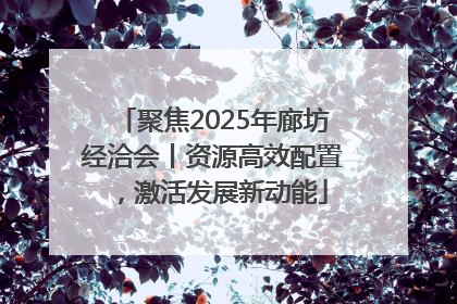 聚焦2025年廊坊经洽会丨资源高效配置，激活发展新动能