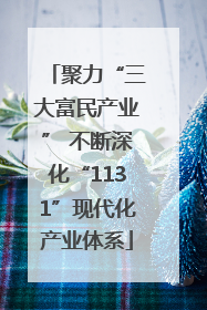 聚力“三大富民产业” 不断深化“1131”现代化产业体系