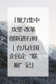 聚力集中攻坚·改革创新进行时｜台儿庄国企民企“联姻”记