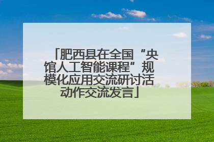 肥西县在全国“央馆人工智能课程”规模化应用交流研讨活动作交流发言