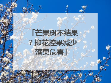 芒果树不结果？抑花控果减少落果危害