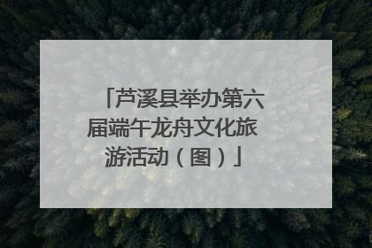 芦溪县举办第六届端午龙舟文化旅游活动（图）