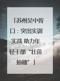 苏州吴中胥口：突出实训实战 助力年轻干部“壮苗抽穗”