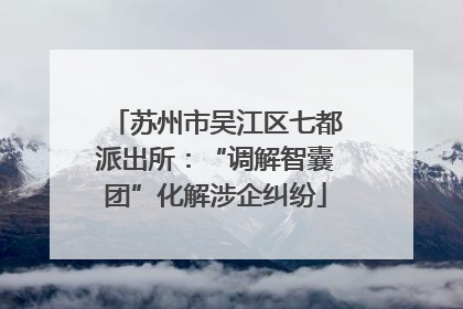 苏州市吴江区七都派出所：“调解智囊团”化解涉企纠纷