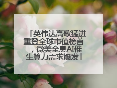 英伟达高歌猛进重登全球市值榜首，微美全息AI催生算力需求爆发