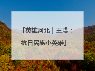 英雄河北｜王璞：抗日民族小英雄