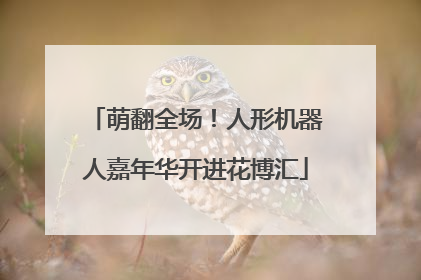 萌翻全场！人形机器人嘉年华开进花博汇