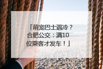 萌宠巴士遇冷？合肥公交：满10位乘客才发车！