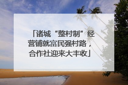 诸城“整村制”经营铺就富民强村路，合作社迎来大丰收