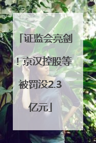 证监会亮剑！京汉控股等被罚没2.3亿元