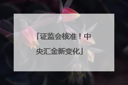 证监会核准！中央汇金新变化