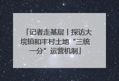 记者走基层丨探访大垸镇和丰村土地“三统一分”运营机制