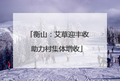 衡山：艾草迎丰收 助力村集体增收