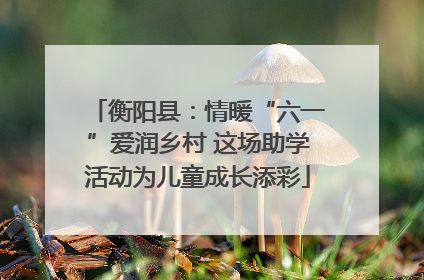 衡阳县：情暖“六一”爱润乡村 这场助学活动为儿童成长添彩