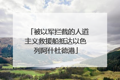 被以军拦截的人道主义救援船抵达以色列阿什杜德港