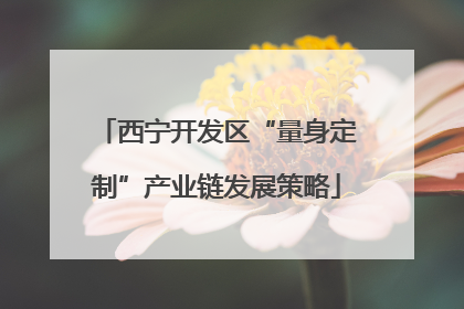 西宁开发区“量身定制”产业链发展策略