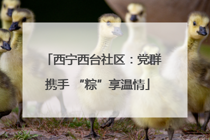 西宁西台社区：党群携手 “粽”享温情