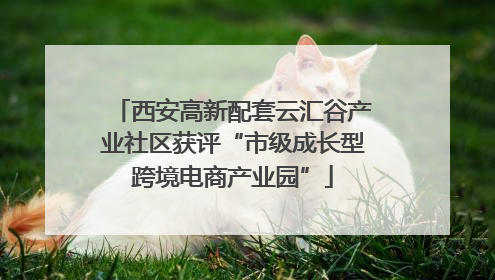 西安高新配套云汇谷产业社区获评“市级成长型跨境电商产业园”