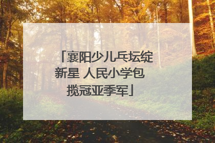 襄阳少儿乓坛绽新星 人民小学包揽冠亚季军