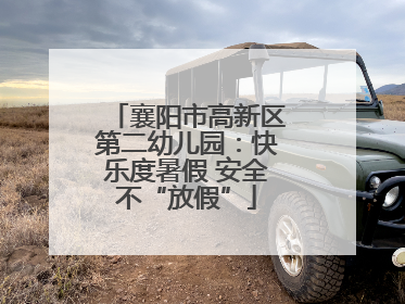 襄阳市高新区第二幼儿园：快乐度暑假 安全不“放假”