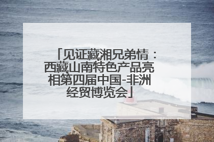 见证藏湘兄弟情：西藏山南特色产品亮相第四届中国-非洲经贸博览会