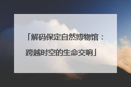 解码保定自然博物馆：跨越时空的生命交响