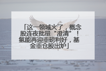这一领域火了，概念股连夜批量“澄清”！氢能再迎重磅利好，基金重仓股出炉