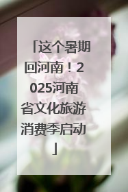 这个暑期回河南！2025河南省文化旅游消费季启动
