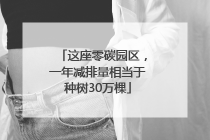 这座零碳园区，一年减排量相当于种树30万棵