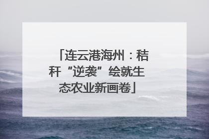 连云港海州：秸秆“逆袭”绘就生态农业新画卷
