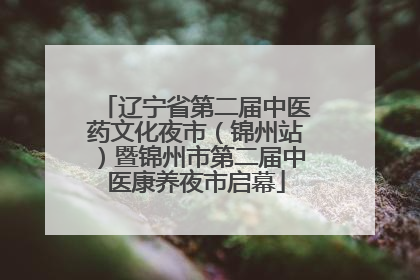 辽宁省第二届中医药文化夜市（锦州站）暨锦州市第二届中医康养夜市启幕