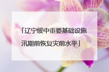 辽宁绥中重要基础设施汛期前恢复灾前水平