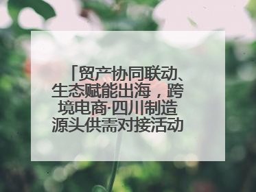 贸产协同联动、生态赋能出海，跨境电商·四川制造源头供需对接活动在成都举办