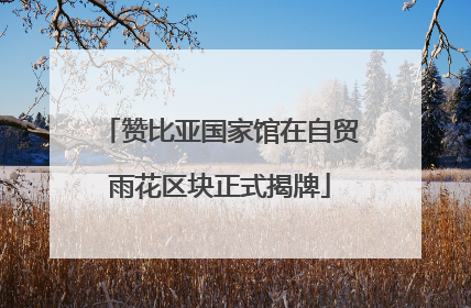 赞比亚国家馆在自贸雨花区块正式揭牌