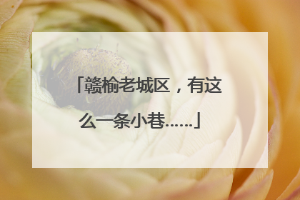 赣榆老城区，有这么一条小巷……