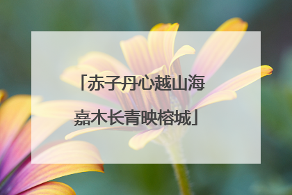 赤子丹心越山海 嘉木长青映榕城
